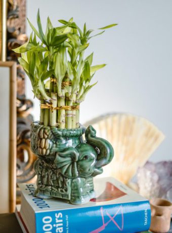 Harmonia i równowaga we wnętrzach: wprowadzenie zasad Feng Shui do Twojego domu
