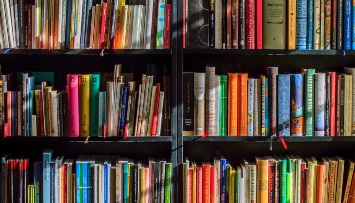 Twoja własna czytelnia: jak stworzyć wyjątkową biblioteczkę w domu