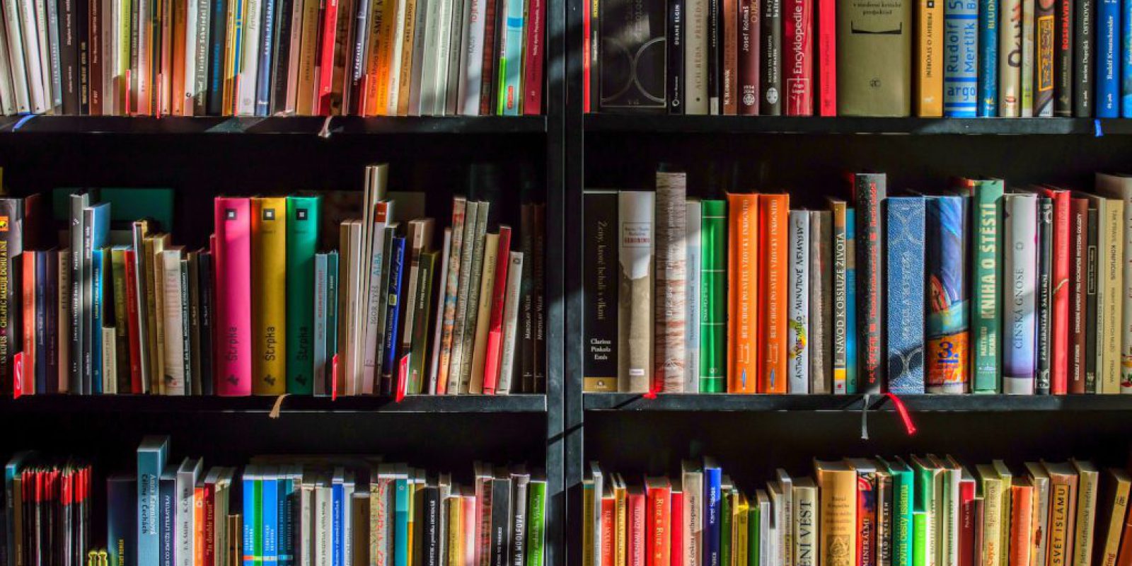 Twoja własna czytelnia: jak stworzyć wyjątkową biblioteczkę w domu