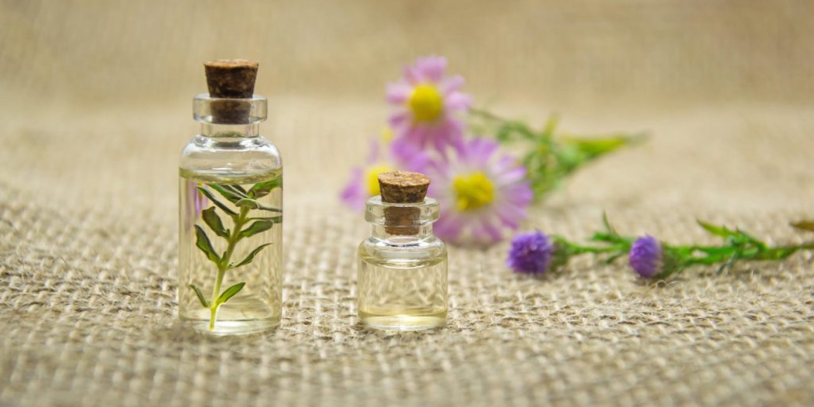 Wprowadzenie do świata wosków do kominka zapachowego: poradnik dla pasjonatów aromatów